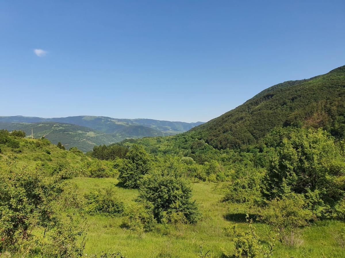 Zavojsko Jezero Pirot - Smestaj Manic Guest House Gostusa Bagian luar foto