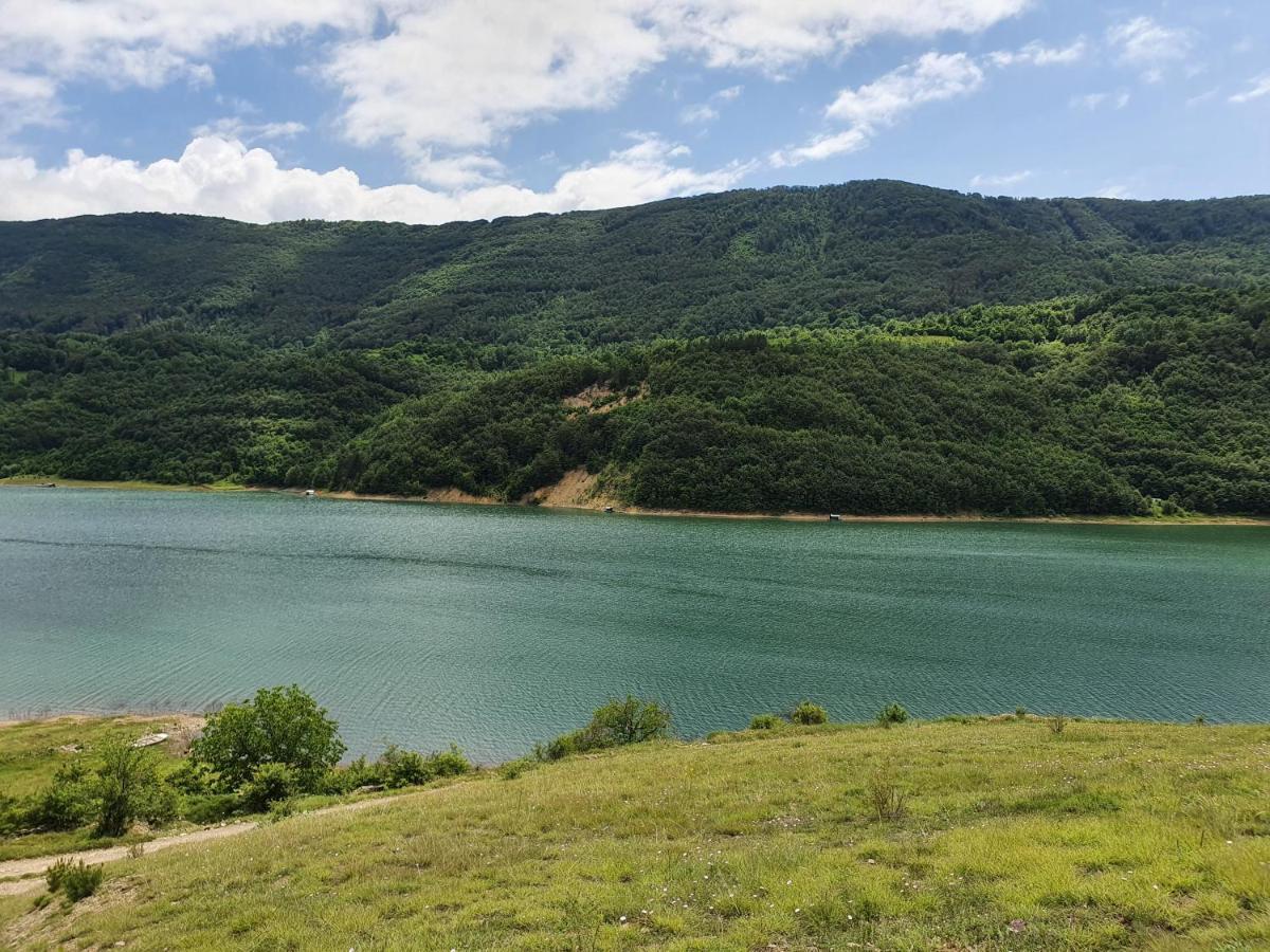 Zavojsko Jezero Pirot - Smestaj Manic Guest House Gostusa Bagian luar foto