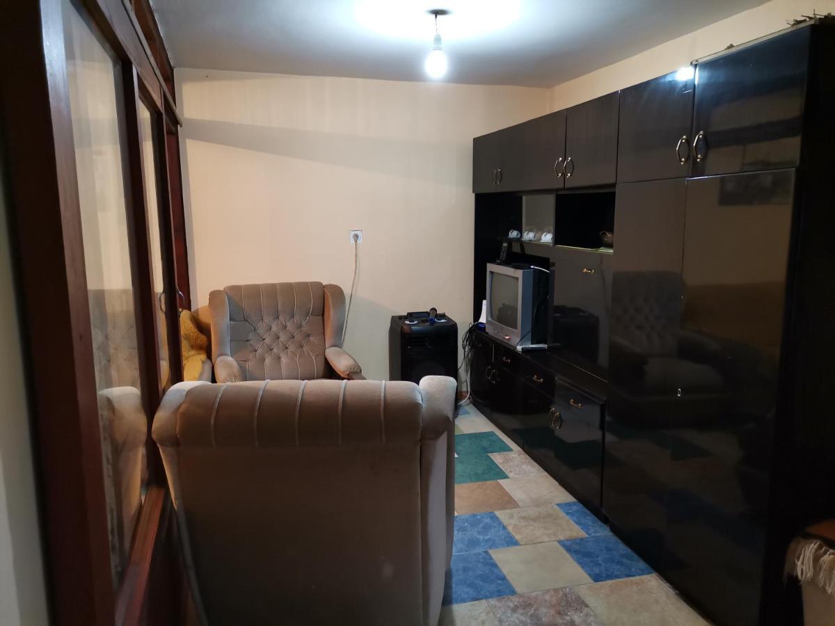 Zavojsko Jezero Pirot - Smestaj Manic Guest House Gostusa Bagian luar foto