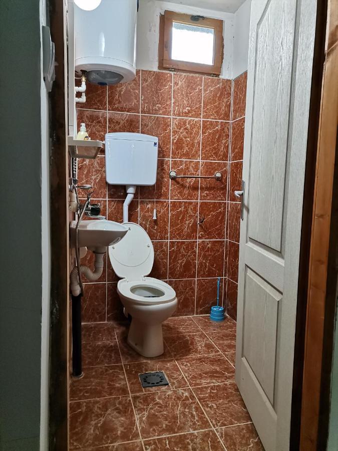 Zavojsko Jezero Pirot - Smestaj Manic Guest House Gostusa Bagian luar foto